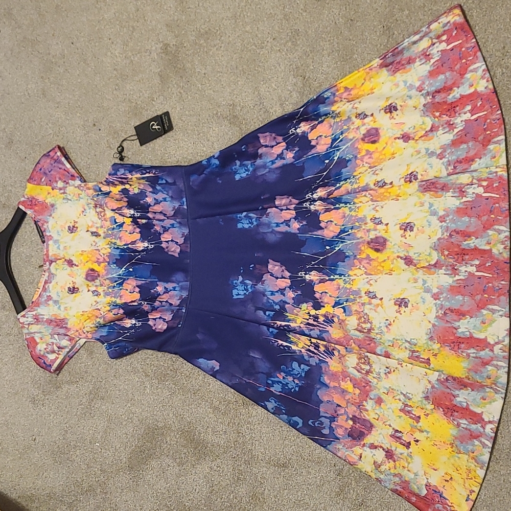 Adrianna Papell dress